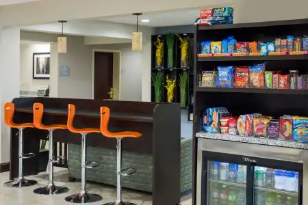 Microtel Inn & Suites by Wyndham Greenville / Woodruff Rd - 10
