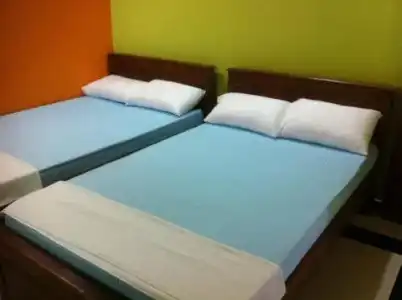 Bee Nest Bed & Breakfast - 2