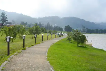 The Tea Garden - 9