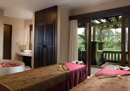 The Ubud Village Resort & Spa - 3