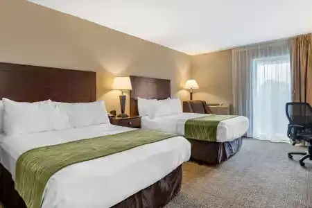 Comfort Inn Lansing West - 24