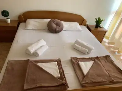 Guesthouse Orlović - 2