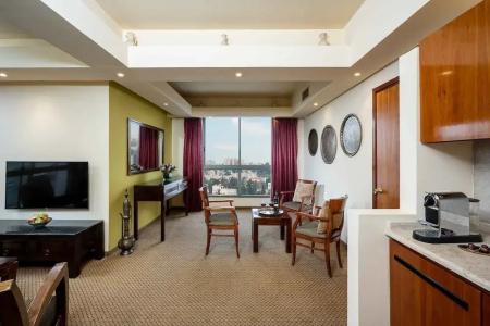 Olive Tree - 85