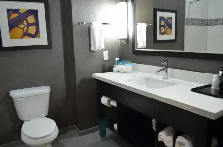 Holiday Inn Longview - North by IHG - 8