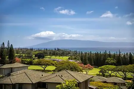 Kapalua Villas Maui - 135