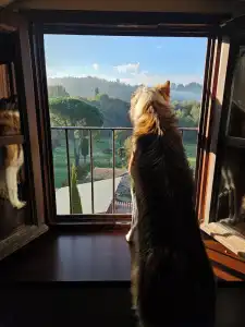 Villa Rigacci - 68