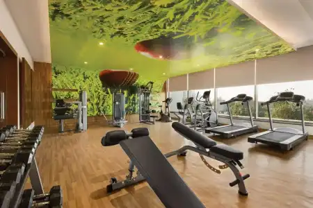 Ramada Plaza by Wyndham Agra - 20