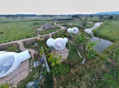 Green Land Bubble Glamping - 38