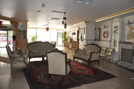 Ani Sems - 1