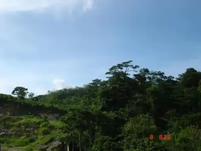 Patong Lamai Residence - 32