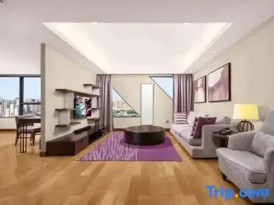 Ascott Raffles City Chengdu - 126