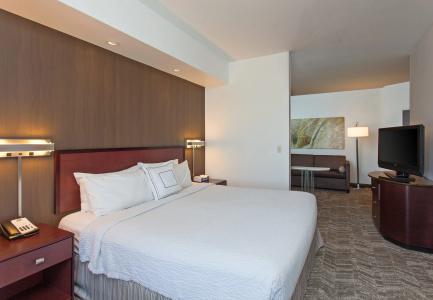 SpringHill Suites El Paso - 3