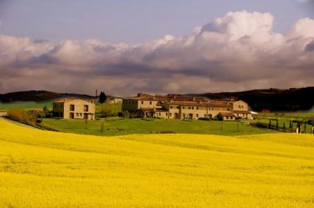 Borgo Beccanella - 67