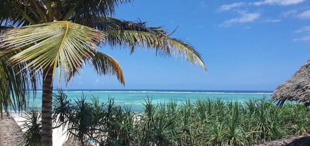 Zoi Retreat Zanzibar - 76