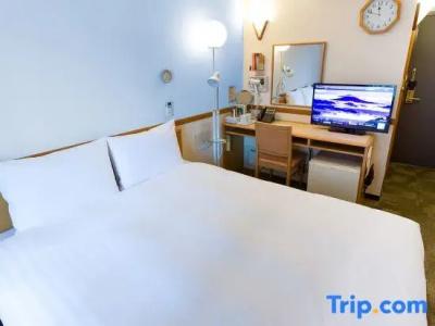 Toyoko Inn Jr Kobe Eki Kita Guchi - 101