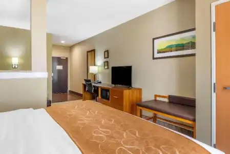 Comfort Suites University - 37