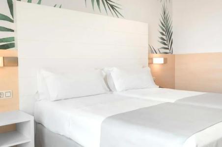 Alegria Florida - 37