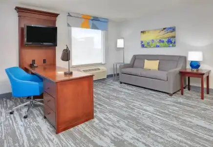 Hampton Inn & Suites Dallas-Arlington-South - 67