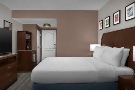 Hilton Garden Inn Greensboro Airport - 86