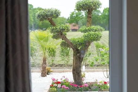 & Restaurant Sparta - 28