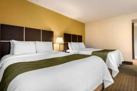 Quality Inn & Suites - 6