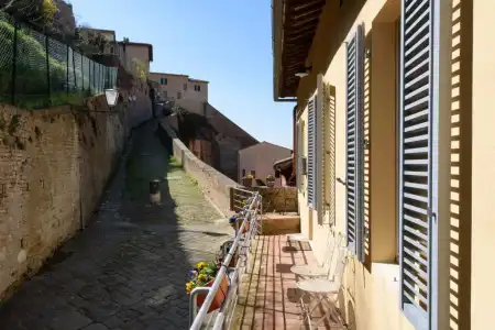 Siena Vip - 8