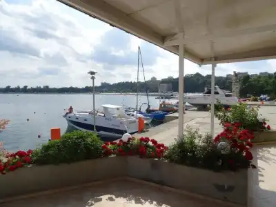 Marina - 9