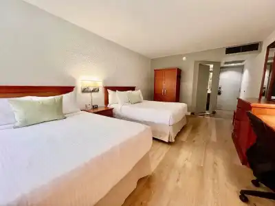 Universel Montreal - 37