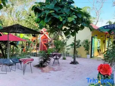 Hue Lotus Homestay - 81
