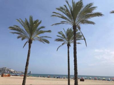 Moon Dreams Cullera - 18