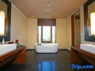 The St. Regis Lhasa Resort - 112