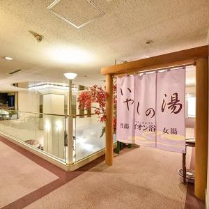 Fukui Palace - 9