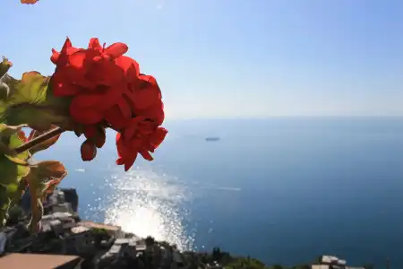 L'Antico Borgo dei Limoni - 13