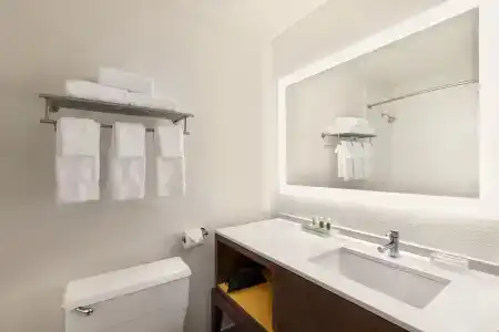 Holiday Inn Houston Intercontinental Airport by IHG - 8