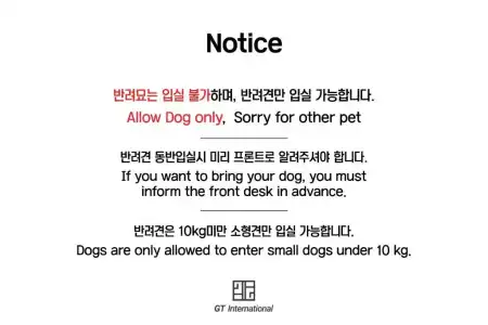 Ocean Soleview - 73