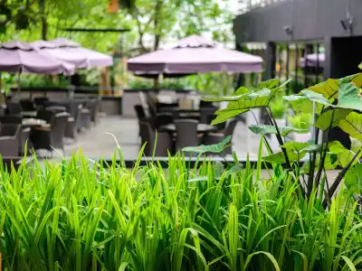 The Greenery Resort Khao Yai - 29