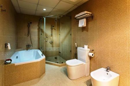Al Safir & Tower - 16