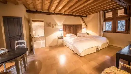 Le Champ des Oiseaux Hôtel & Spa 4* - 43