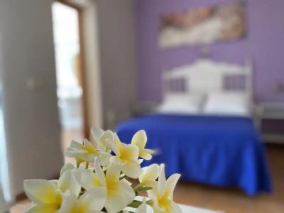 Hostal Moscatel - 81