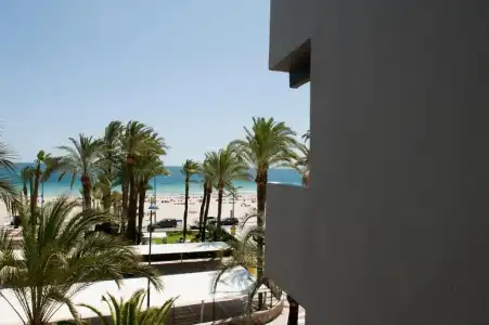El Palmeral - 70