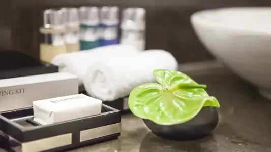 AlpenGold Davos - 65