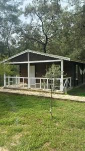 Olympos Angels Garden - 64