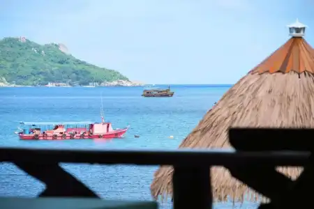 DD Hut Koh Tao - 92