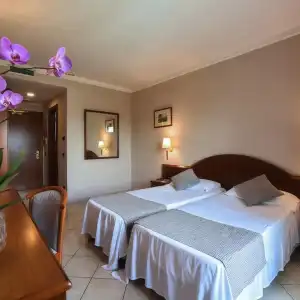 Le Palme - 47