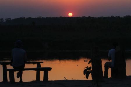 Jungle Wildlife Camp - 6