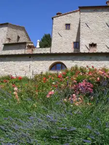 Borgo di Pietrafitta Relais - 0