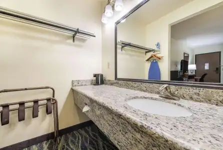 Quality Inn Bellevue - 8