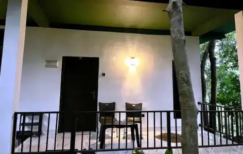 Green House - 37