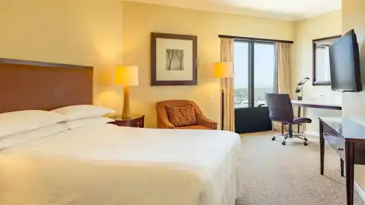 Sheraton Buenos Aires & Convention Center - 72