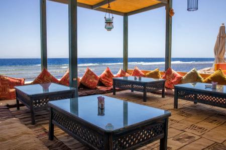 Shams & Dive Centre - 9